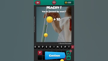 What The Pic!  Level 113 Answer Cheat