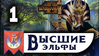 :    Total War Warhammer 2   - #1
