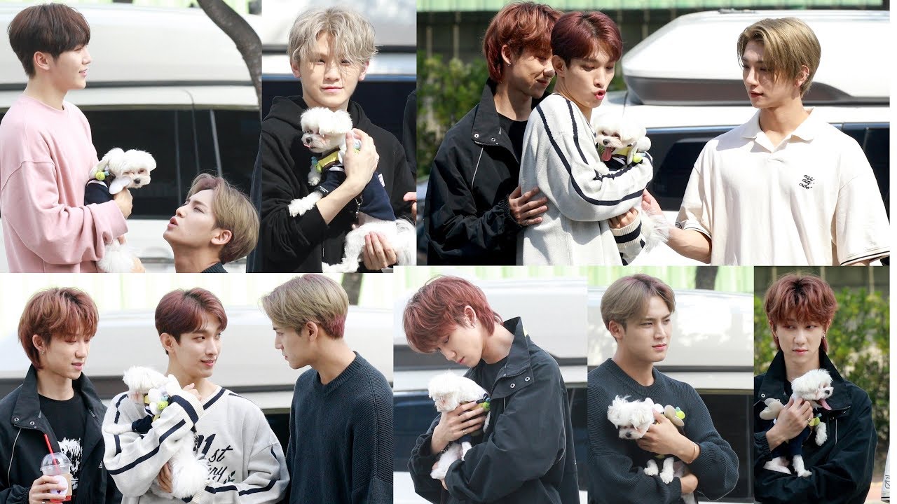 190928 세븐틴 (Seventeen) 맴버들과 부끄의 케미 - 미니 팬미팅 by ODS