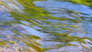 The flow of the stream (Reviced of STREAM)