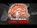 How Your Stress Is Silently Destroying Your Health | Part 2