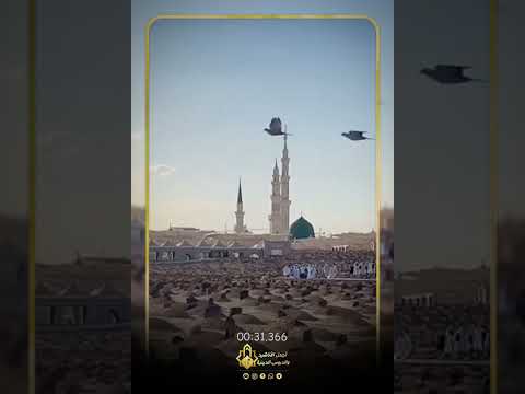 صلى على النبي حتى يشتغل قلبك شوي بحب رسول الله ثم اجلس وصلي صلاة الشوق فضيلة الشيخ رجب ديب