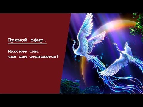 Прямой эфир. Мужские сны: чем они отличаются?