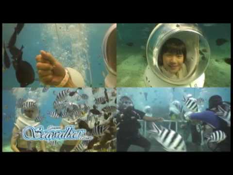 グアムのシーウォーカー Youtube