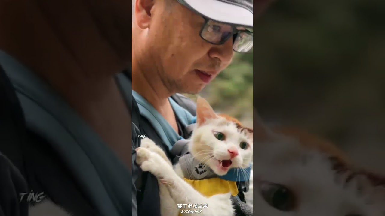 芽丁溫泉