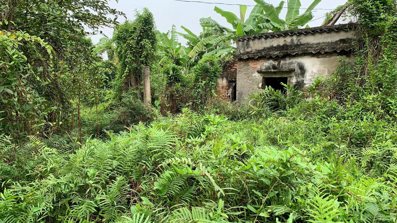 CRAZY when people say this HAUNTED house with overgrown grass we cleanup to help dispel the RUMOR