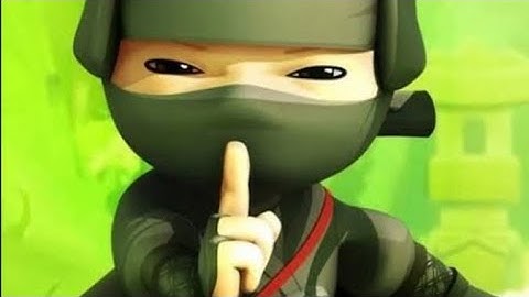 How I became a ninja | Stealth Master | Wolfer Gaming