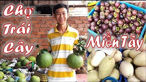 Khám Phá Chợ Trái Cây An Hữu Tiền Giang Cùng Bảo Xàm TV Xem Có Những Quả Gì.