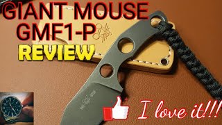 Giant Mouse GMF1P Review