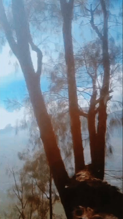 Story whatsapp 30 detik Widodari (Lagu Denny Caknan dan Guyon Waton)#trending01