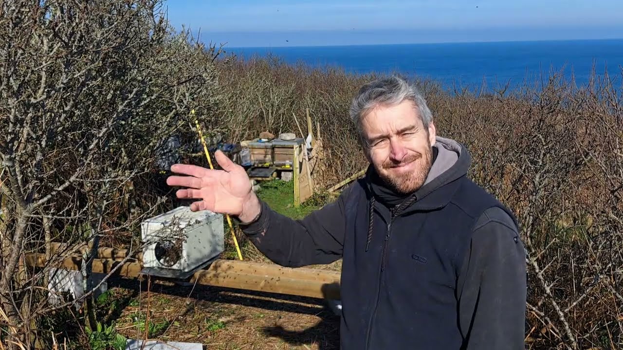 The Pint-Sized Survivalists: Setting Up a Tiny January Swarm 🐝