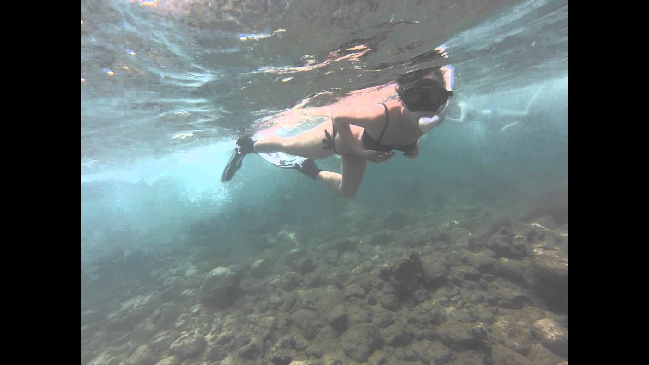 Snorkeling in Kauai, Hawaii (GoPro Hero 3 Silver) YouTube