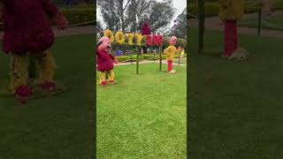 Ooty Rose Garden Flower Show 2022 Sight Seeing Place Never Miss