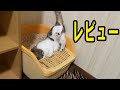 アイリスオーヤマの楽ちん猫トイレに変えたのでレビュー