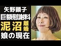 矢野顕子のYMO坂本龍一に狂わされた人生...本当の離婚理由に驚きを隠せない...「春咲小紅」で有名な女性歌手が手に入れた巨額の慰謝料...子供達の現在に一同驚愕...