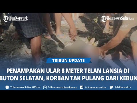 Toliq metrajli porno