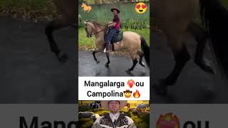 Essa tá Difícil🤠🐎❤️‍🔥#cavalo