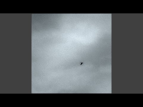 Pascal Savy — Asleep