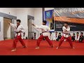 Ultimate Poomsae Championship 🔥 Taekwondo Excellence