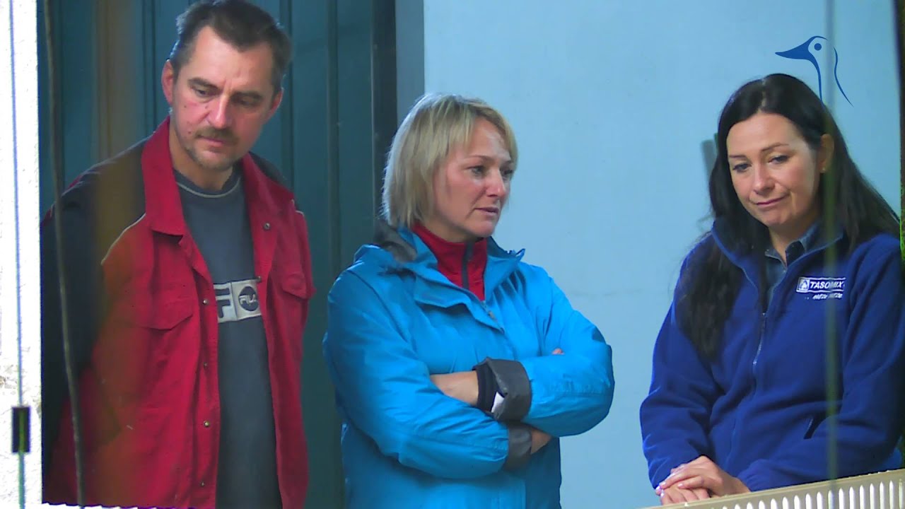 Hodowla kaczek w systemie na rusztach | TASOMIX