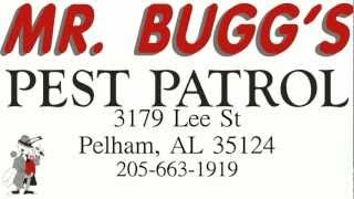 Mr. Bugg's Pest Control in Birmingham