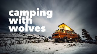 Download Lagu Winter Camping in Wolf Territory | VW Vanagon Van Camping #campervan #vanlife #cinematicvlog #vwt3 MP3