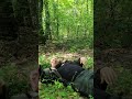 Встреча с медведем...