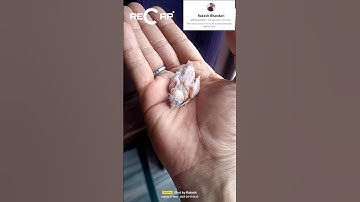 watch Finch 🐦/ budgies🦜 growing day by day||Finch  Growth Stages||Day 1 To Day 30