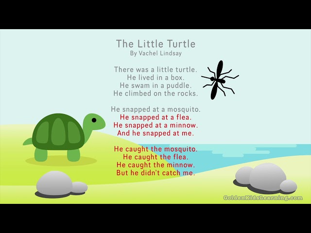 The Little Turtle by Vachel Lindsay | Famous Poem | Poetry to Memorize