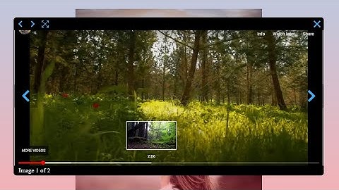 WordPress Video Lightbox Plugin - How Open YouTube Video in Lightbox