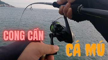 TEST MỒI LURE GHỀNH GIÁ RẺ NHẠY CÁ MÚ , LURE GHỀNH BIỂN VŨNG TÀU , DUNGLEO 0327681725