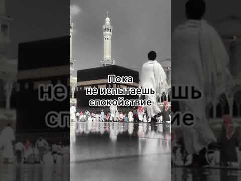 Quran 🌺📿🕌🕋🏵️ #Quran #Quran_online