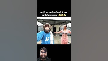 Monkey😂 #Monkeyvlog #Ai #Shorts #Monkeyvlogger #minimonkey #babluvolgger #funny #comedy