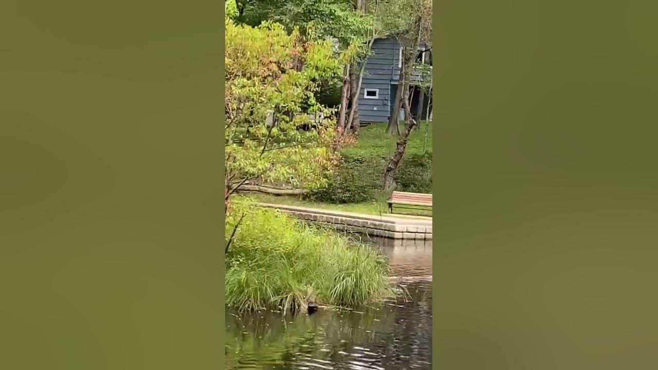 🇨🇦 Heart Shaped Pond • Third place in Halifax Nova Scotia isolation 