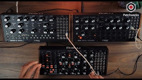 Moog Triple Threat: Subharmonicon, DFAM, and Mother 32