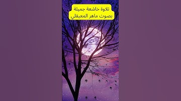 تلاوة خاشعة جميلة بصوت ماهر المعيقلي #القرآن_الكريم