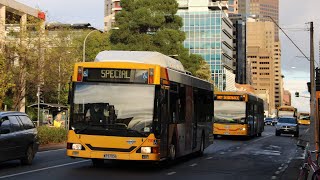 790 - MAN NL232 CNG, ABM 'CB62A' - Torrens Transit (Adelaide Metro)