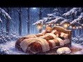 Enjoy your warm bed - Lofi #lofi #lofimusic #lofistudy #chillmusic