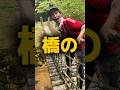 84ヶ月間ナミダが止まらない橋ソング🥢#shorts