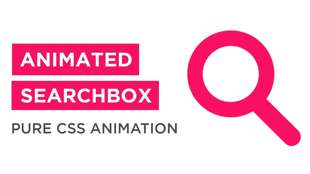 Animated Search Bar using HTML CSS & JQuery | Animated Search Box