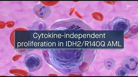 IDH2/R140Q mutation causes cytokine-independent proliferation via STAT3/5 phosphorylation in AML