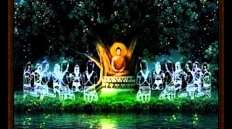 Phẩm 05_28 - Dược thảo dụ _ Diệu Pháp Liên Hoa K.