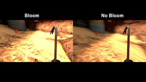 Bloom vs. No Bloom