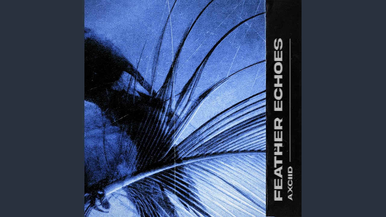 Tonton Feather Echoes di YouTube Tonton Feather Echoes di YouTube