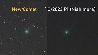 New Comet C/2023 P1 (Nishimura) is getting brighter! Photos of Comet Nishimura through my telescope!