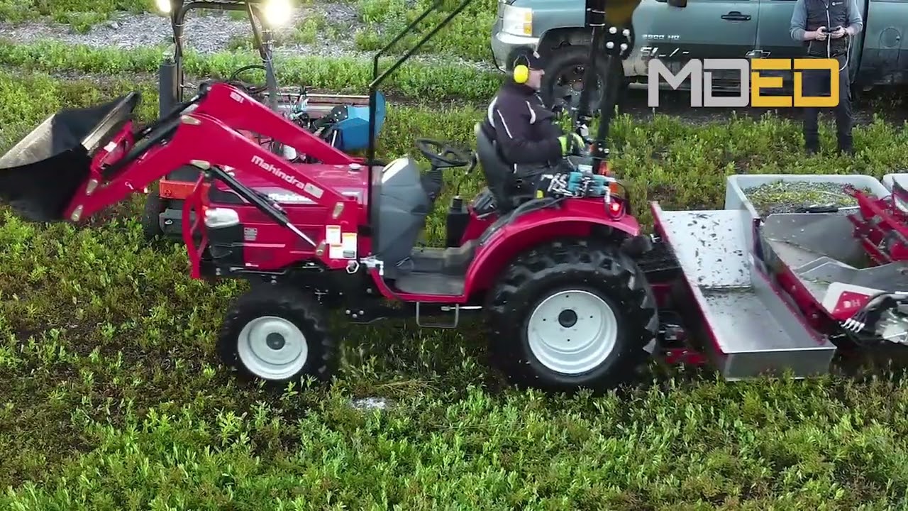 Récolte de Bleuets au Lac-Saint-Jean 🍇 | Mahindra 1626 HST + Cueilleuse D.H. #Mahindra1626