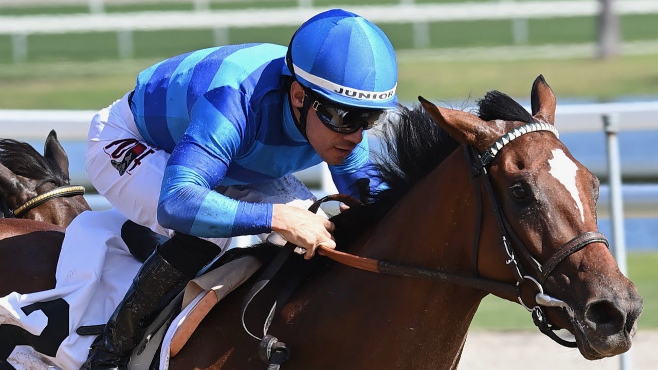 Swing Vote - Gulfstream Park (1/24/2026) - Maiden Special Weight