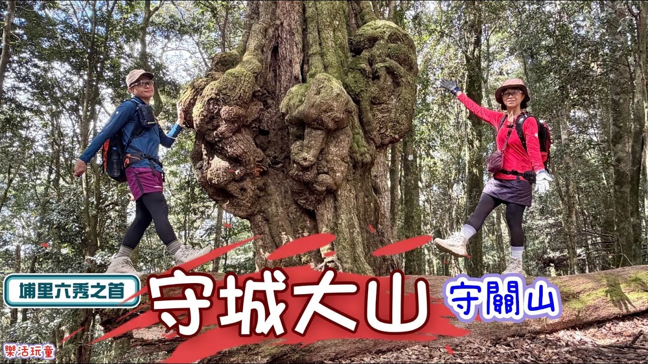 埔里六秀|守城大山|守關山南峰|守關山[樂活玩童NO.248]2026/02/05