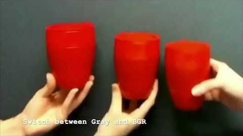 OpenCV Assignment - The life of a Pangaea cup