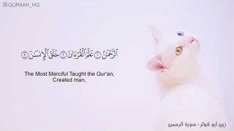 قرأن كريم سورة الرحمن القارئ هاني الرفاعي